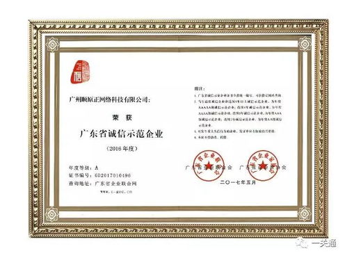 知識產權代理 國內與國際商標注冊的全方位服務指南
